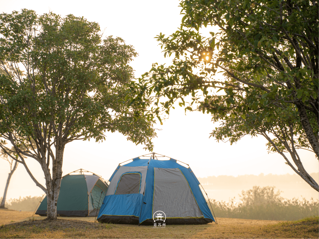 Alex Elder tweet media