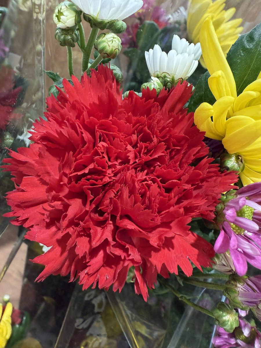 壬生公一(alis@Cluster) tweet media