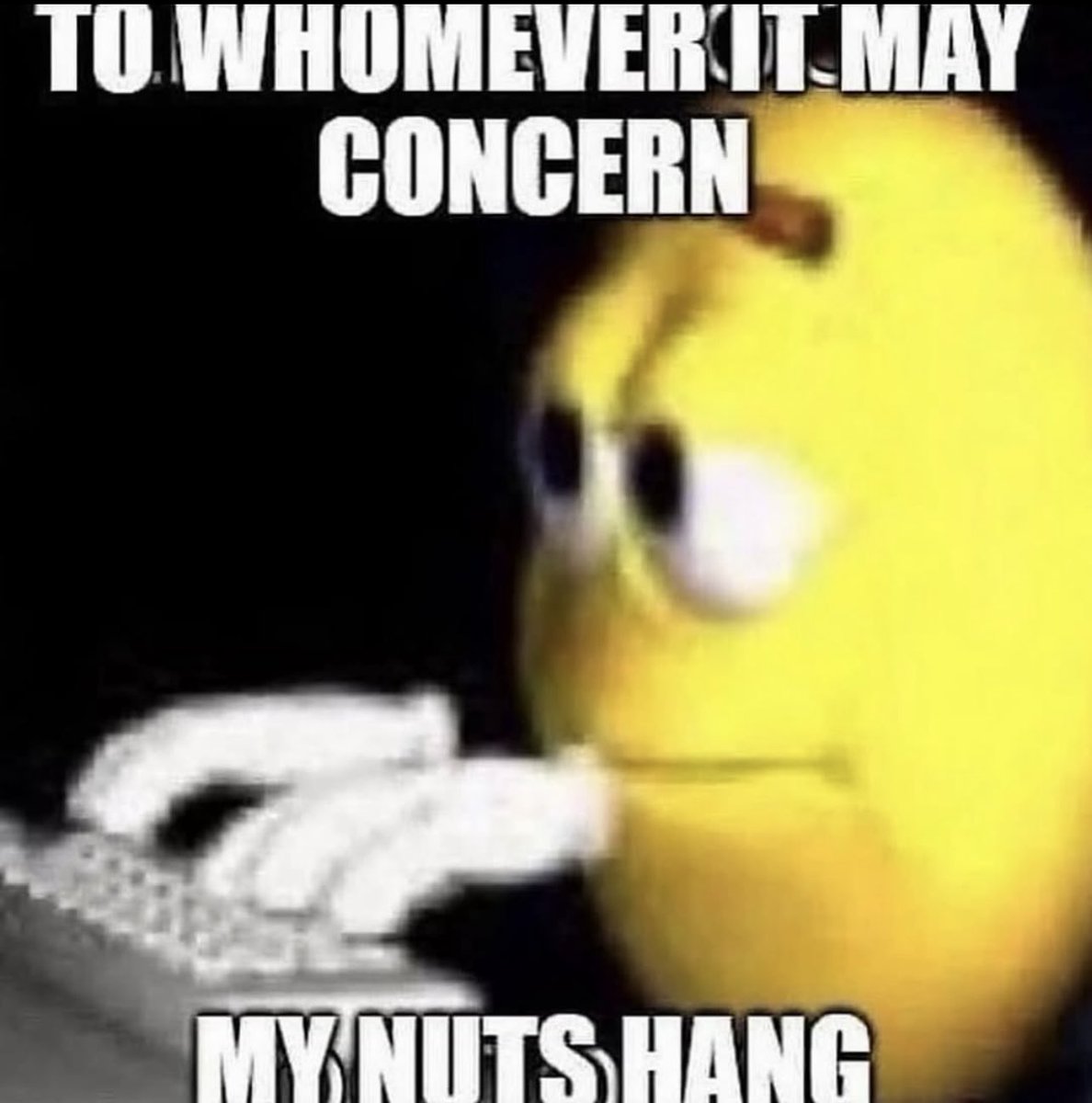 El Señor De Los Memes tweet media