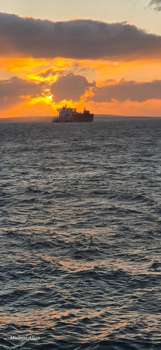 Michael Allan ⚓ tweet media