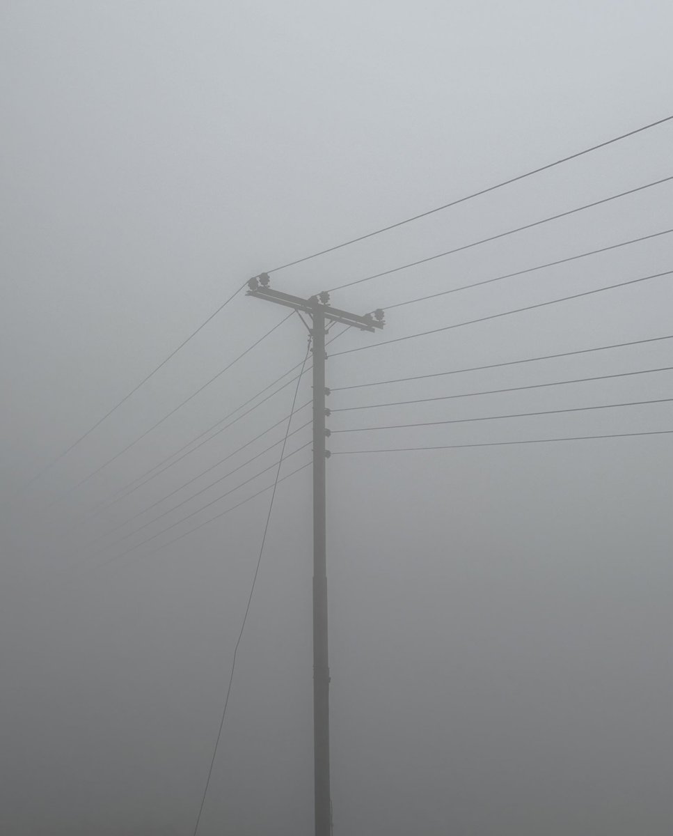 Mauerbauertraurigkeit tweet media