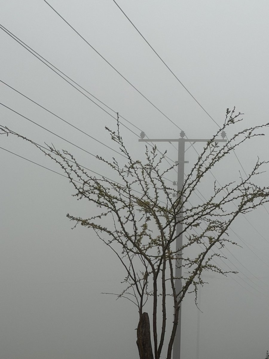 Mauerbauertraurigkeit tweet media