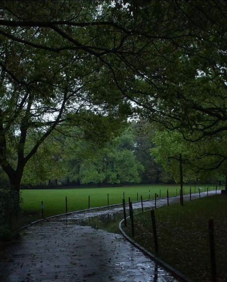 Purely Green tweet media