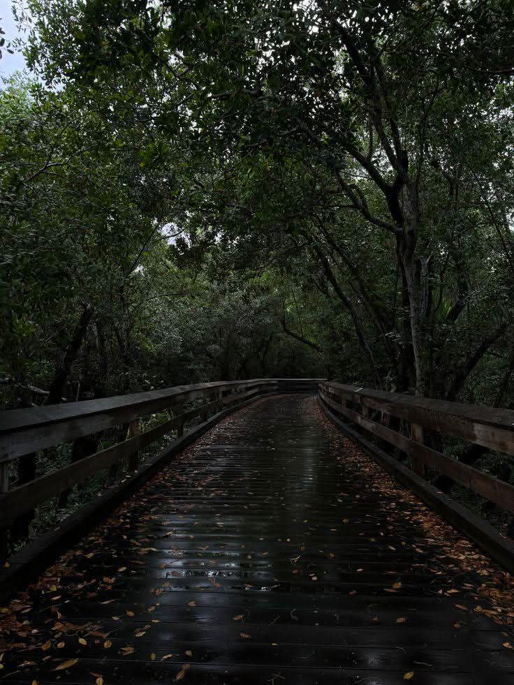 Purely Green tweet media