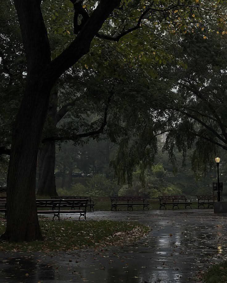 Purely Green tweet media