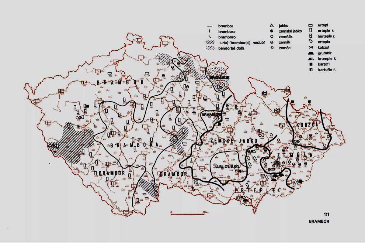 David Rangl tweet media