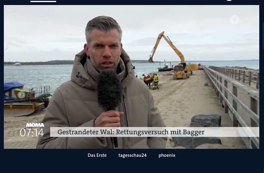 was der Fall ist tweet media