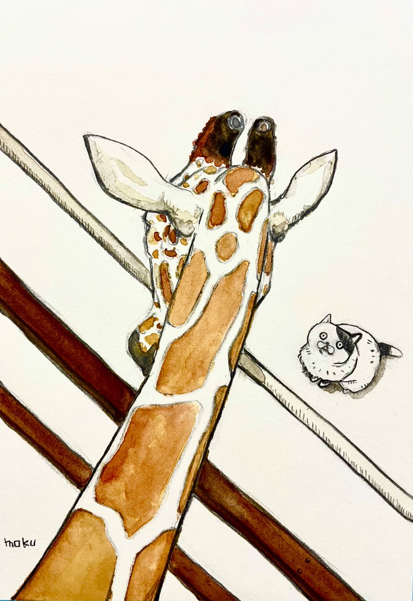 橋本もく tweet media