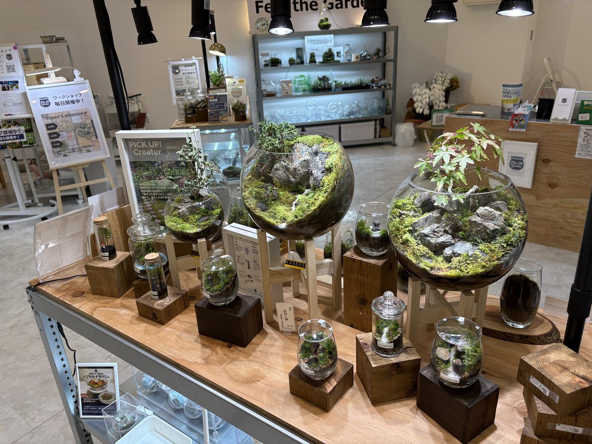 道草 michikusa tweet media