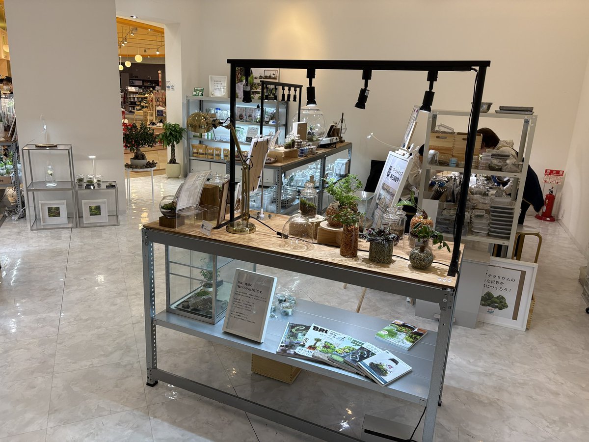 道草 michikusa tweet media