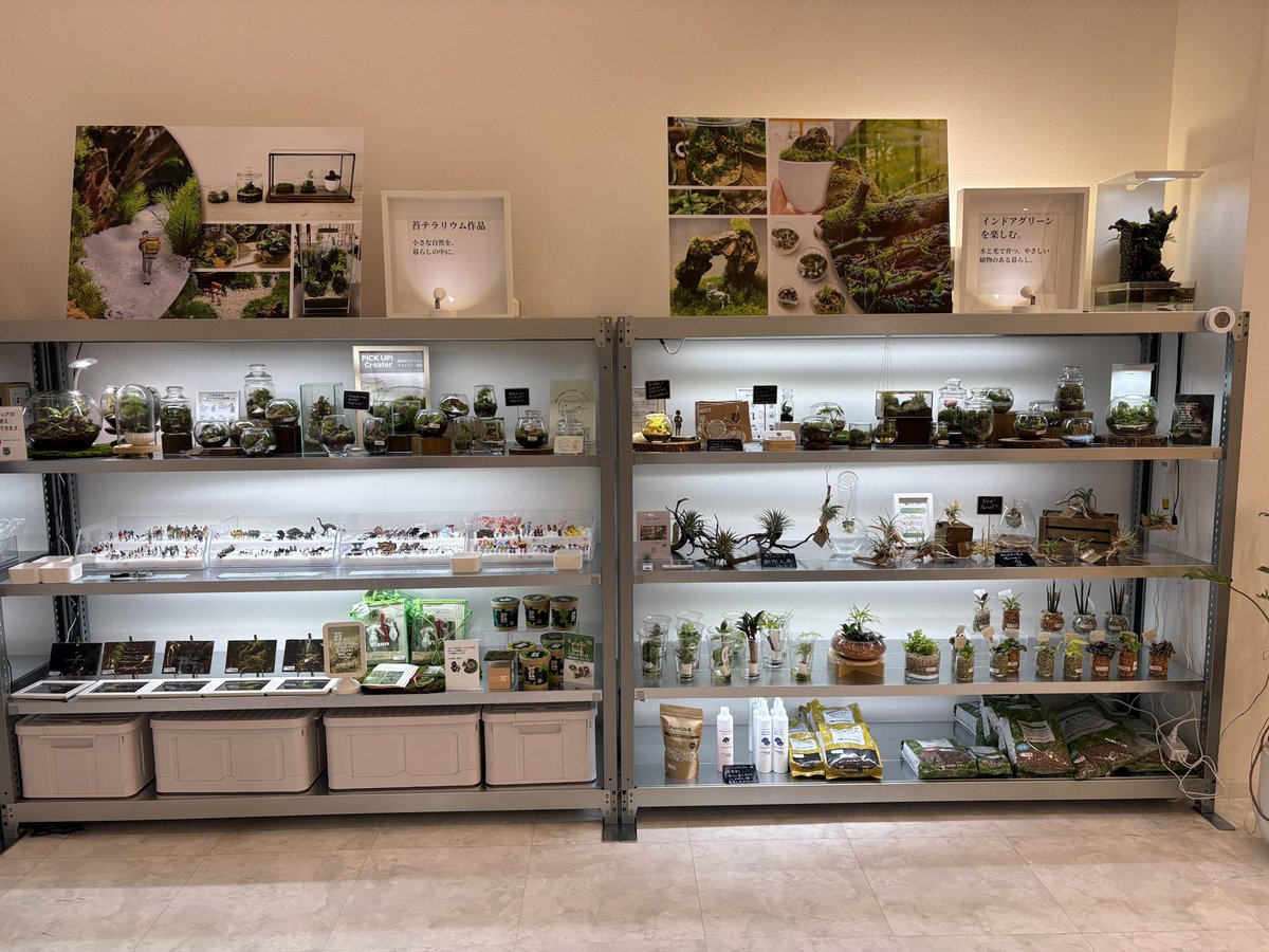 道草 michikusa tweet media