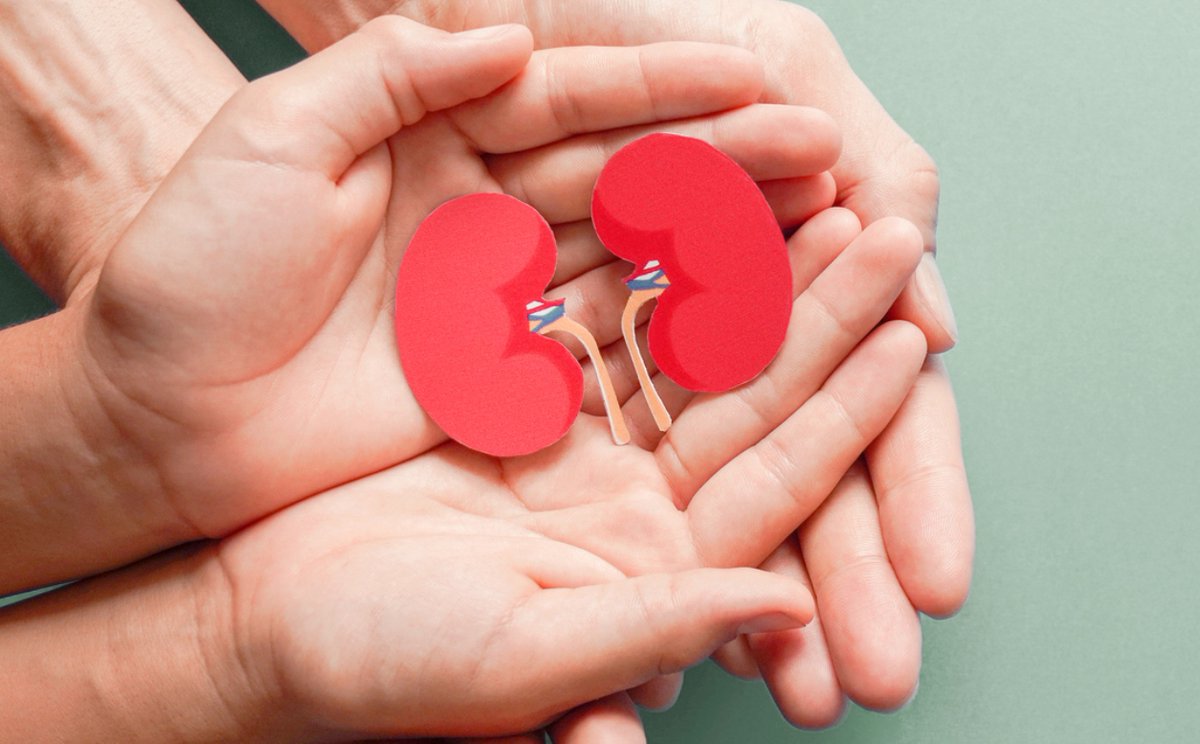 Iatropedia tweet media