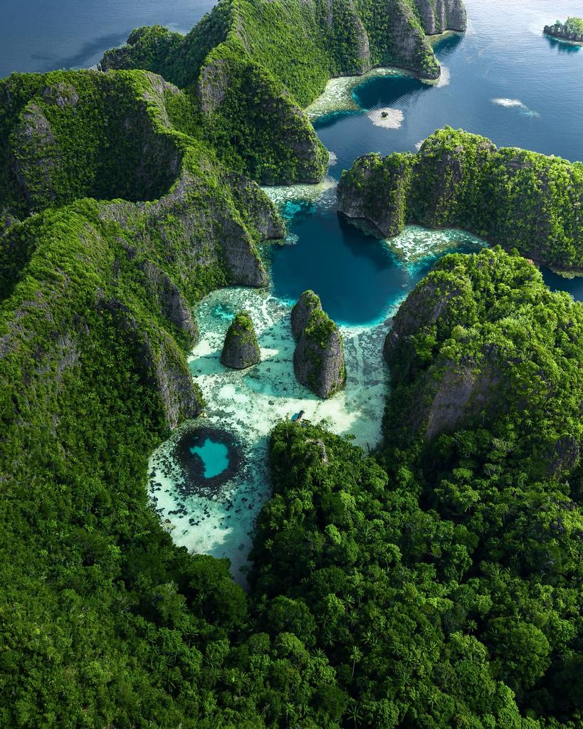 Travel Diaries tweet media