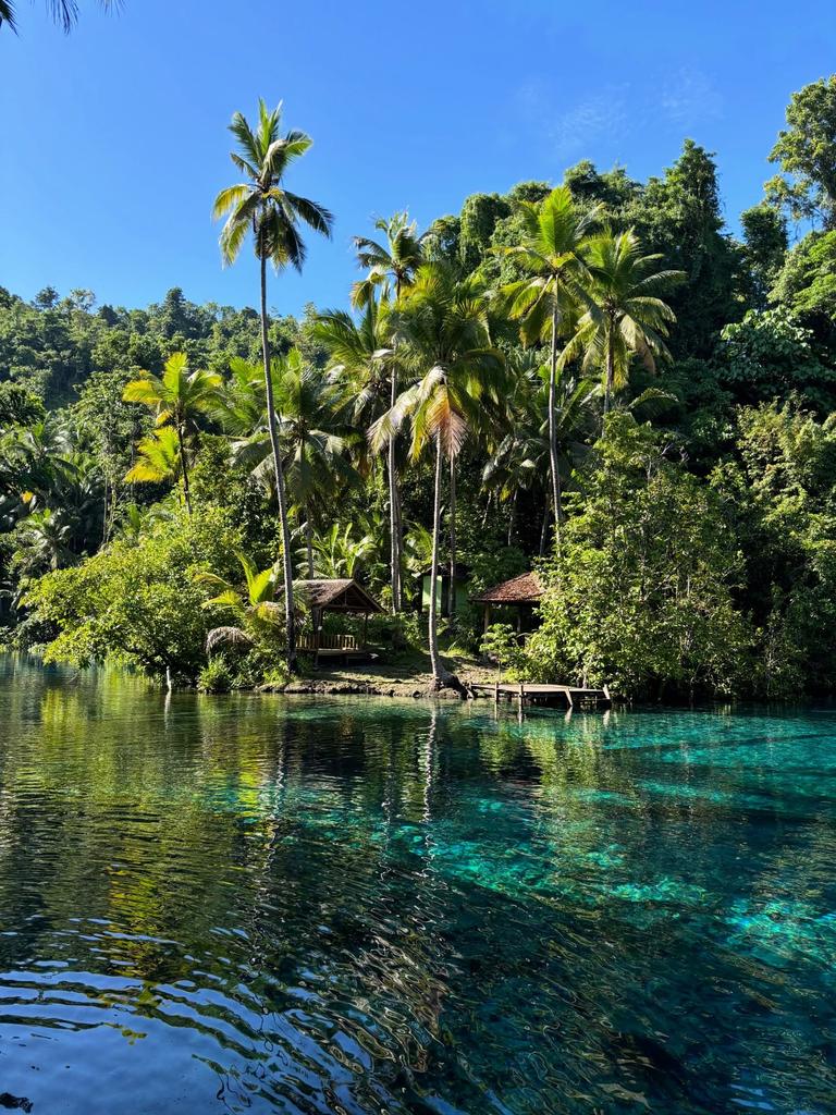 Travel Diaries tweet media