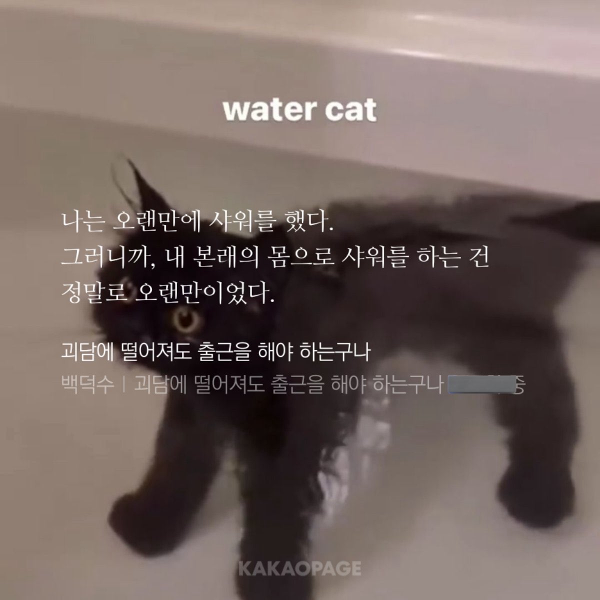 데굴.. tweet media