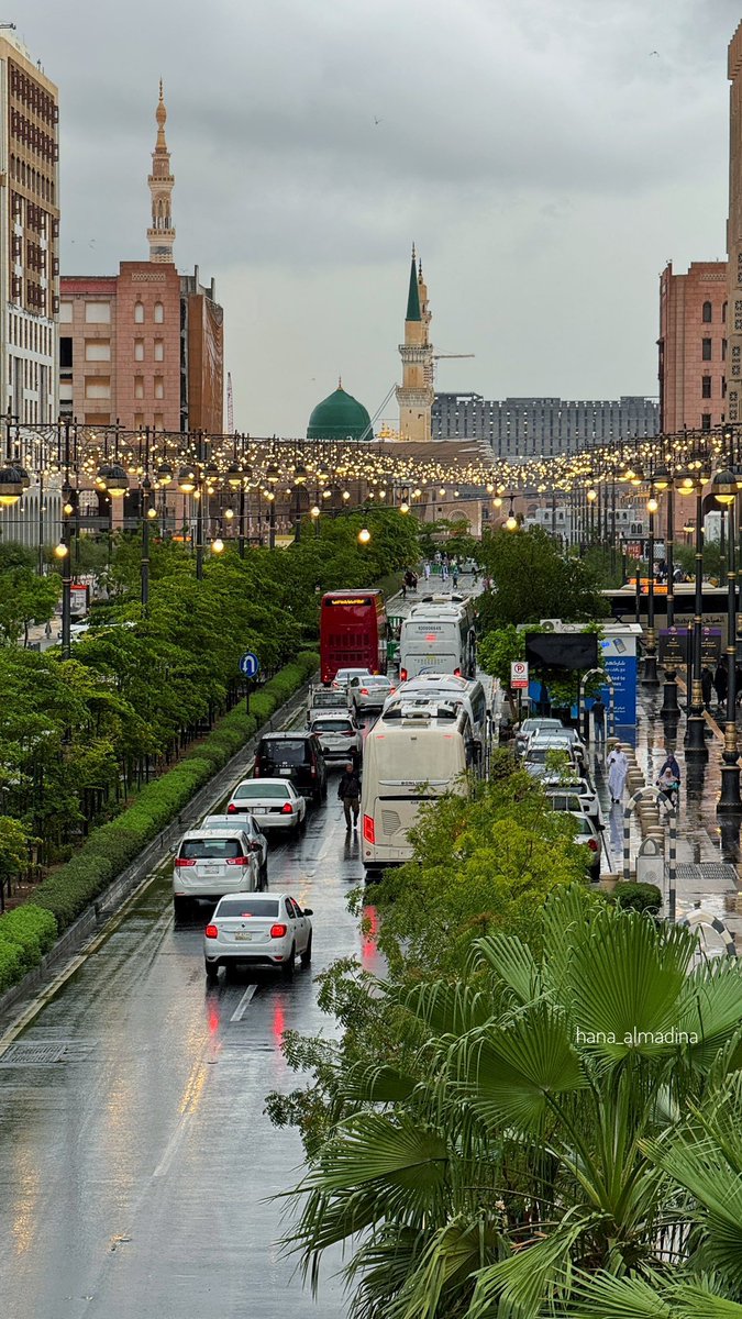 أمانة منطقة المدينة المنورة tweet media