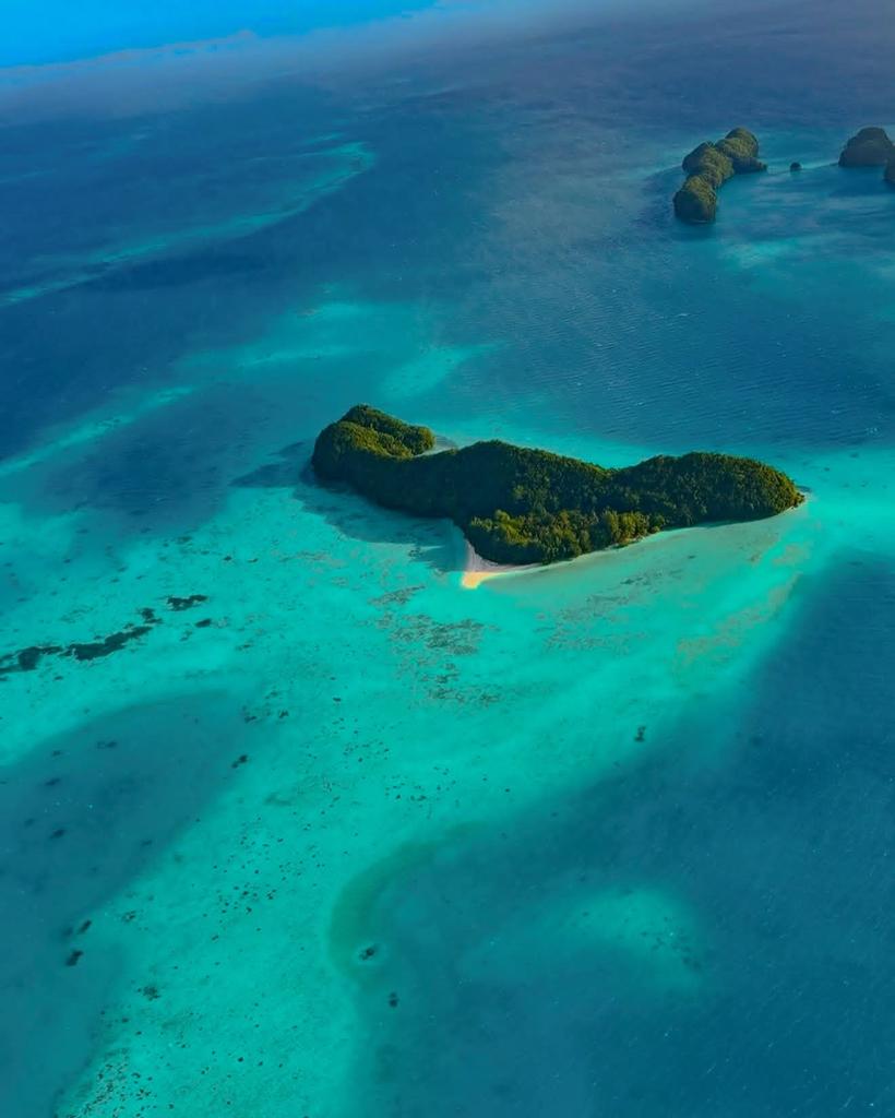 Travel Diaries tweet media