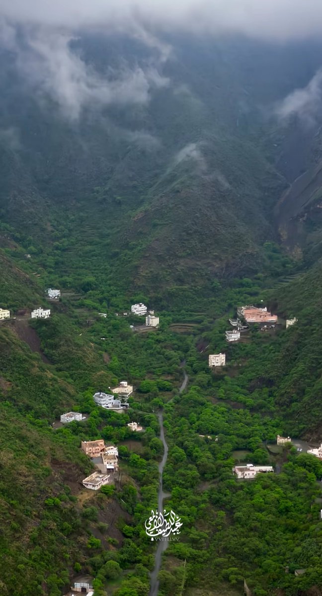 علياء 🇲🇦 tweet media