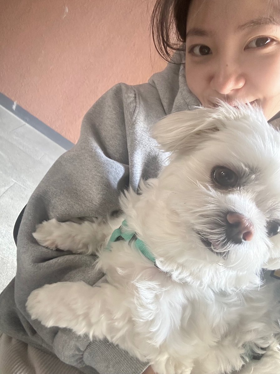 KIM YERIM Global Union tweet media