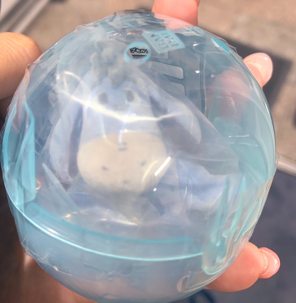 🐱みほぽん🤍 tweet media