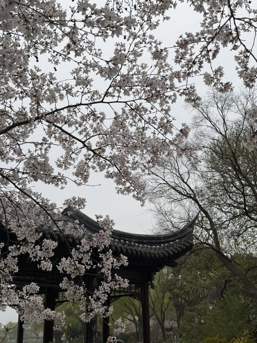 sushaotong1's tweet photo. XUANWU LAKE https://t.co/5KGiOLmmR9