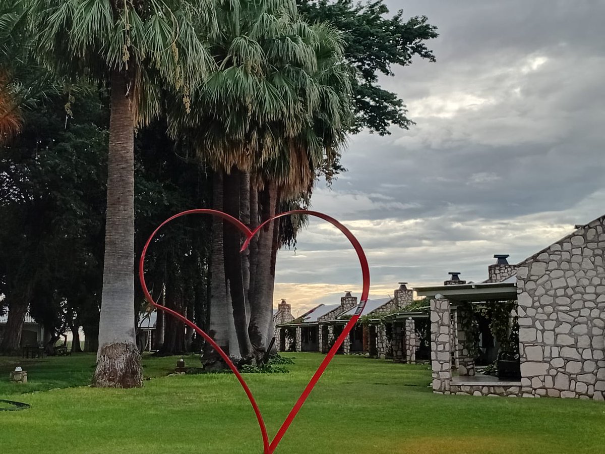 GondwanaLodges's tweet image. 12mm overnight at Farmhouse 🌧️ and the skies aren’t done yet… steady rain still falling. The land is soaking it in—what a gift for Namibia gondwana-collection.com/accommodation/…🌿💧 #NamRain #GoodRains #FarmLife