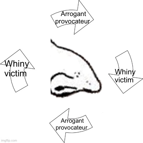 D’arles tweet media