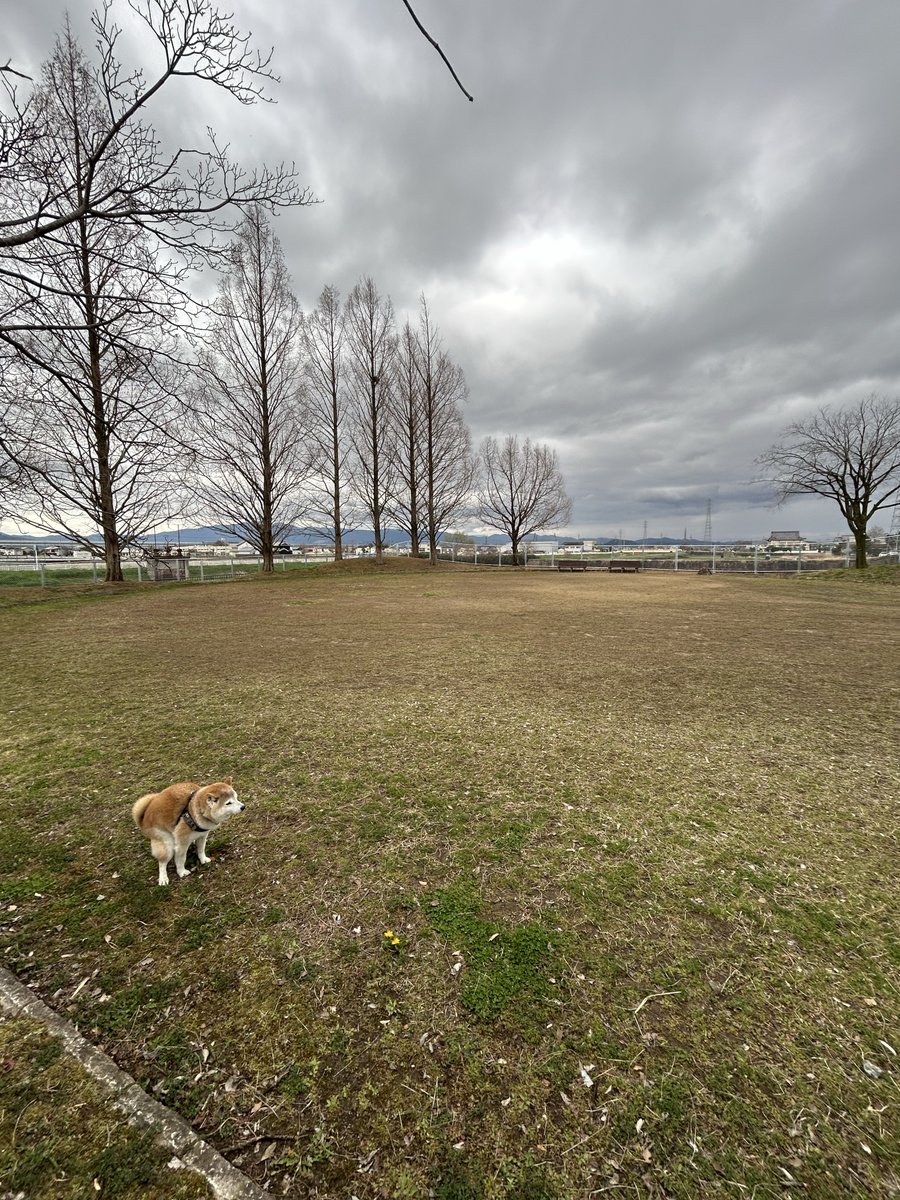 太郎空将 tweet media