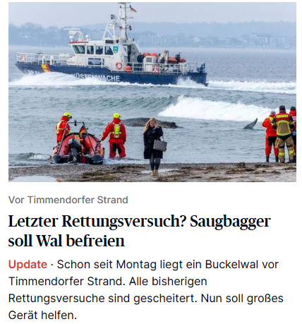 Kreuzritter@Kreuzritter81 tweet media