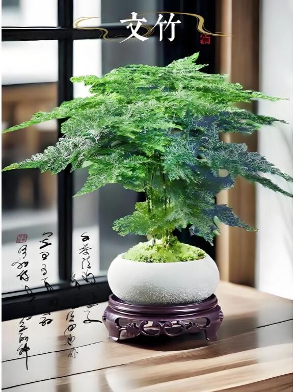 Виталий Щелков tweet media