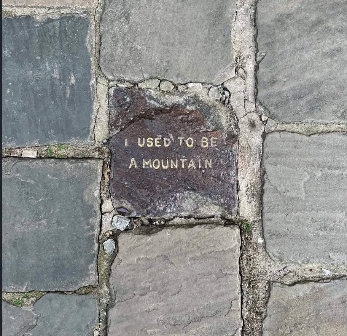 Rosa🦋 tweet media