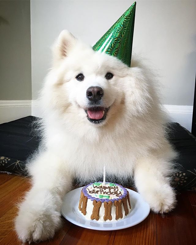 pagshebiloey's tweet photo. 🎂🐶 𝖧𝖺𝗉𝗉𝗒 𝖡𝗂𝗋𝗍𝗁𝖽𝖺𝗒 🤍✨

You deserve all the love
Wishing you all the happiness in the world 💖

#ArleeBNK48
#22ndArleeBirthday https://t.co/1zZO4jv7TN