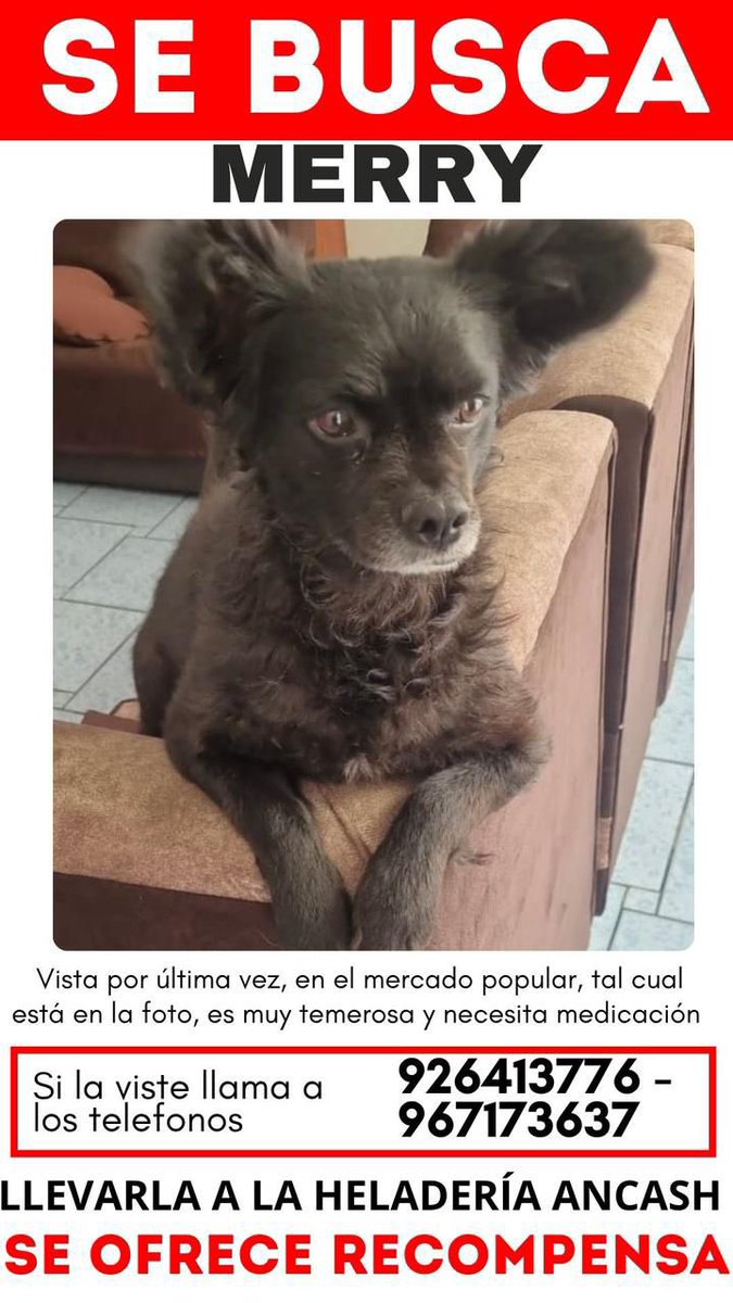 esposa de Bangchan tweet media
