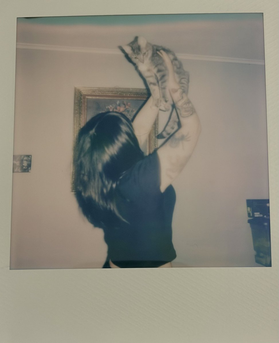 az⋆.ೃ࿔* tweet media