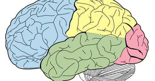 Knowledge Zone tweet media