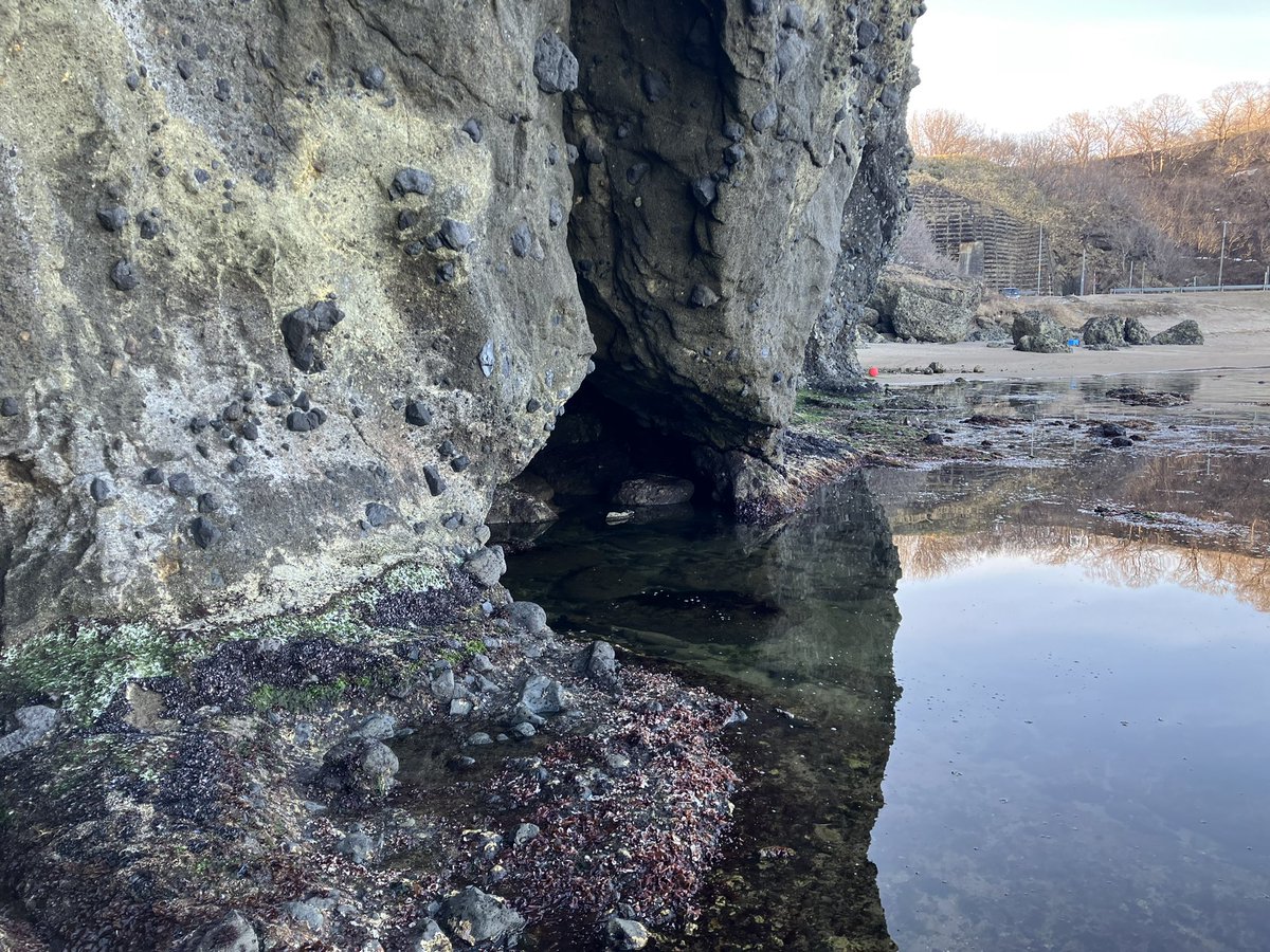 Dr.ツクール@道王紀 tweet media