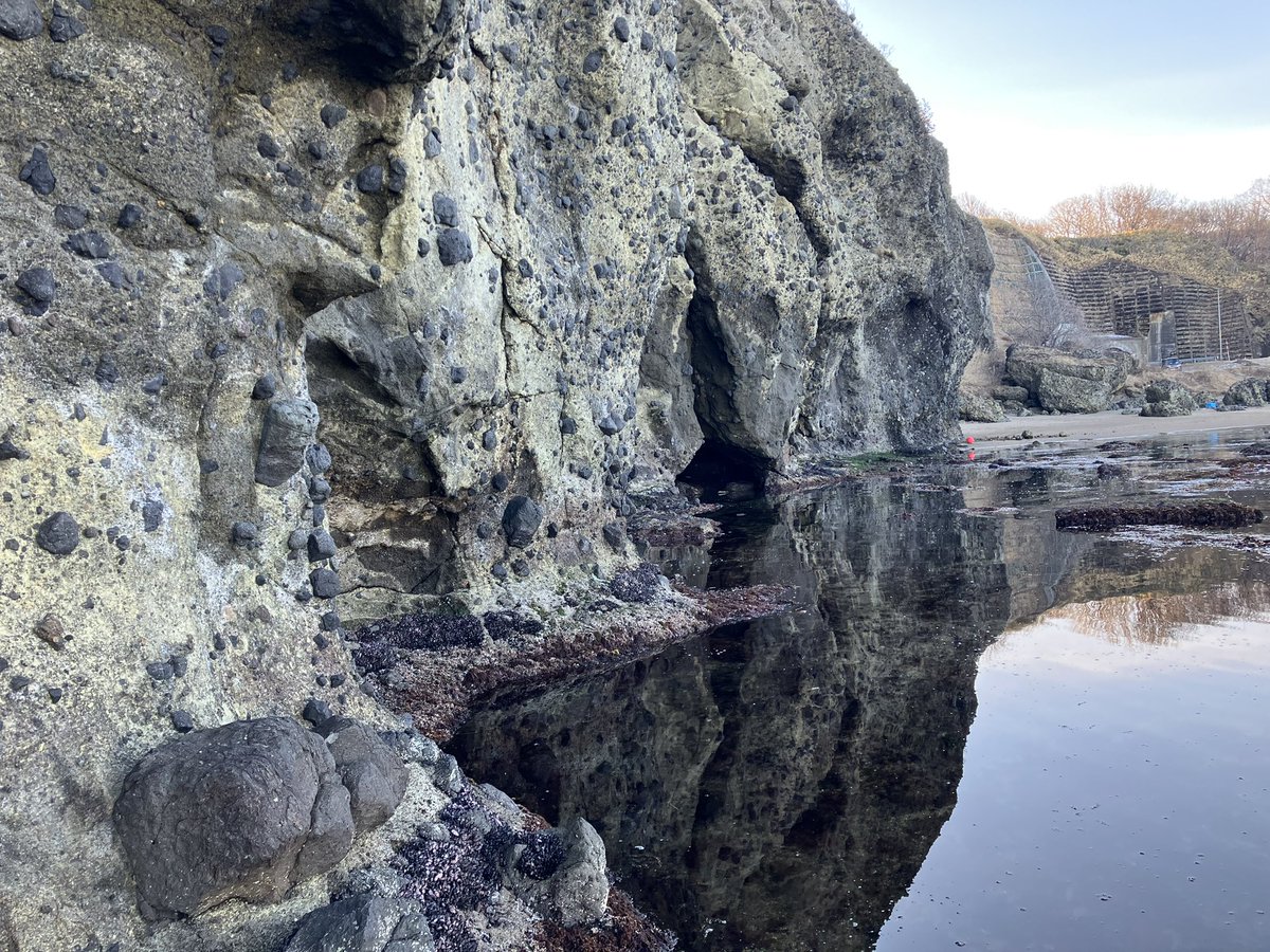 Dr.ツクール@道王紀 tweet media