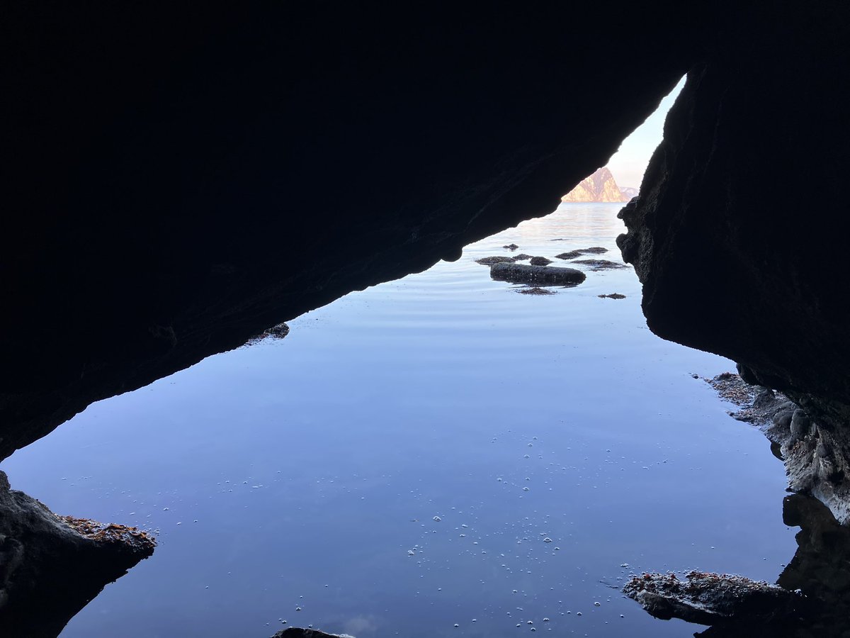 Dr.ツクール@道王紀 tweet media