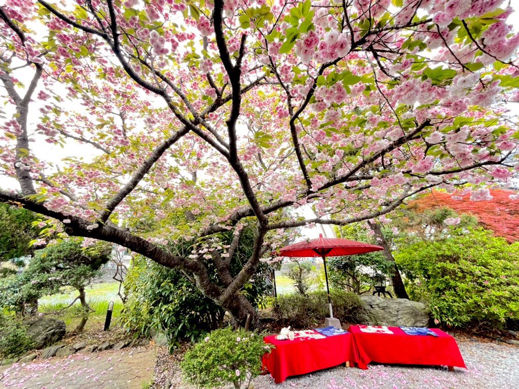 aiRoute 宣伝部 tweet media