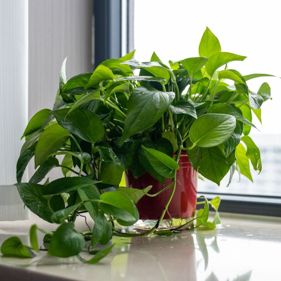 Forever Rich tweet media