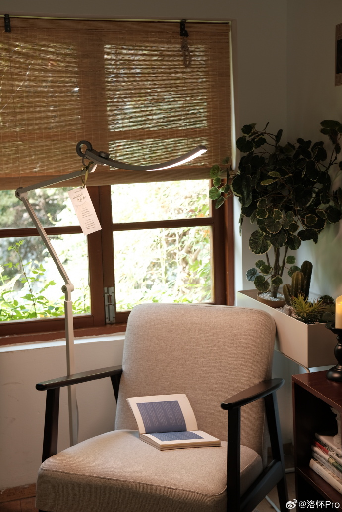 manuel pedro nabais tweet media