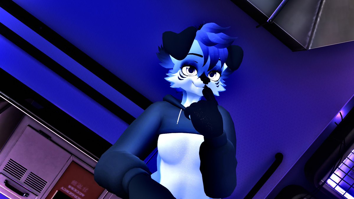 Milo! 🔞 tweet media