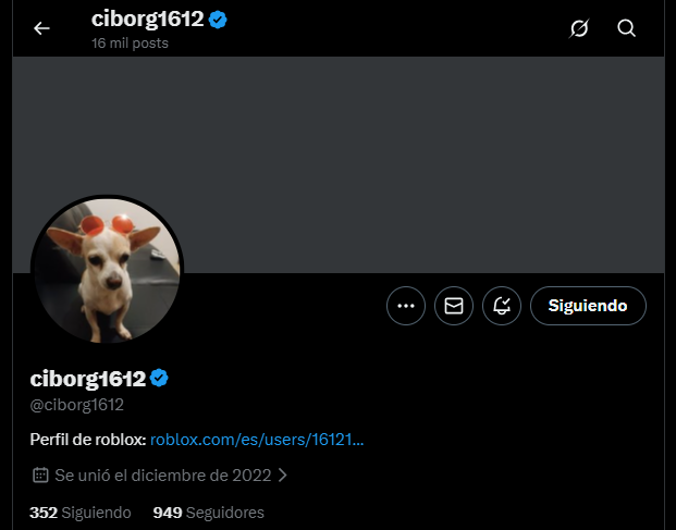 LooKAtBio🍋 tweet media