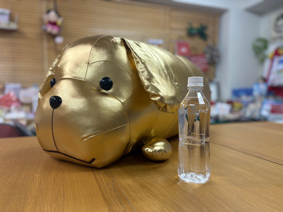 ✨〝全長100cm!!〟ゴールデンヨーゼフが登場✨ 大人気のくじに