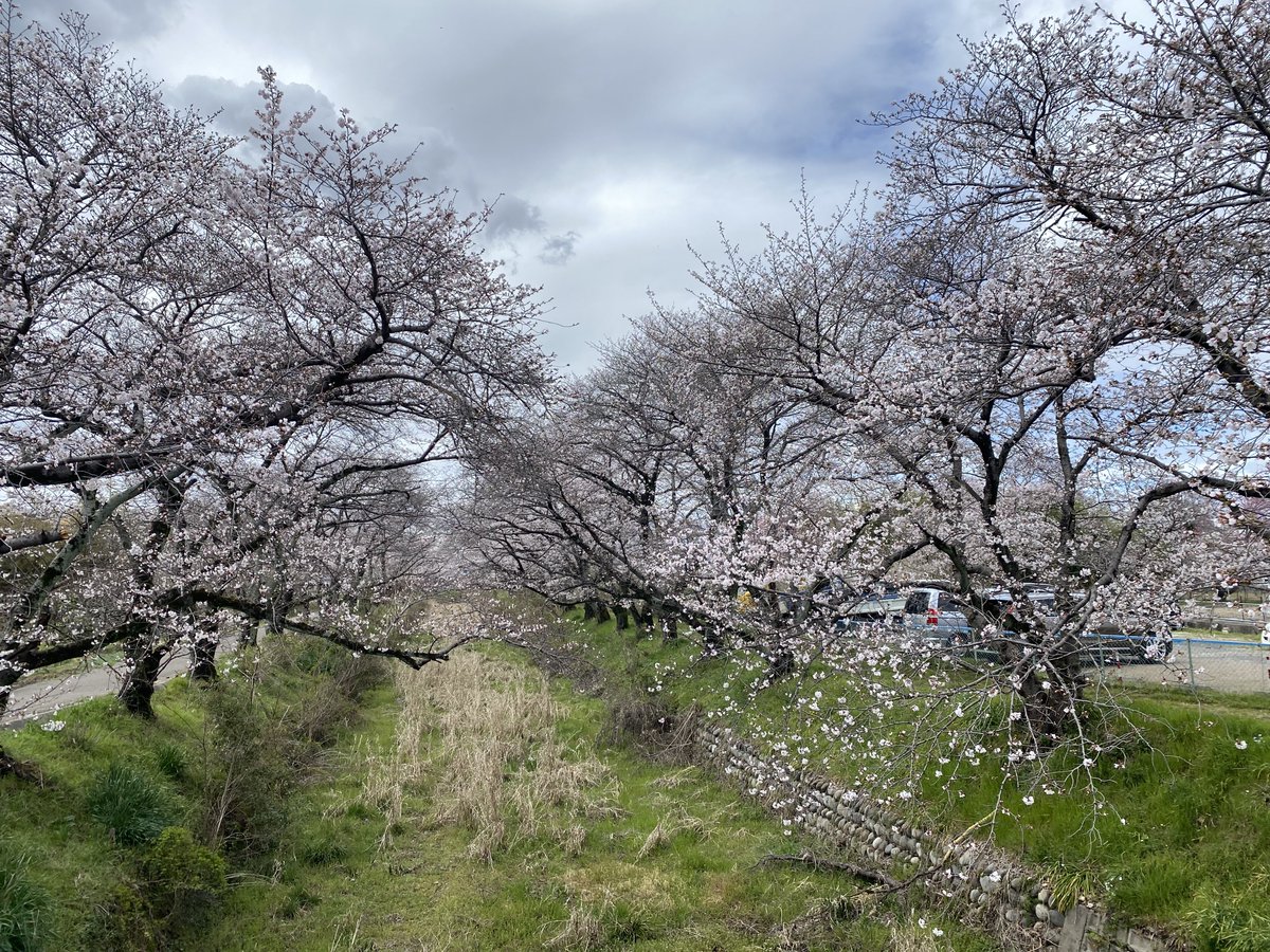 やっさん tweet media