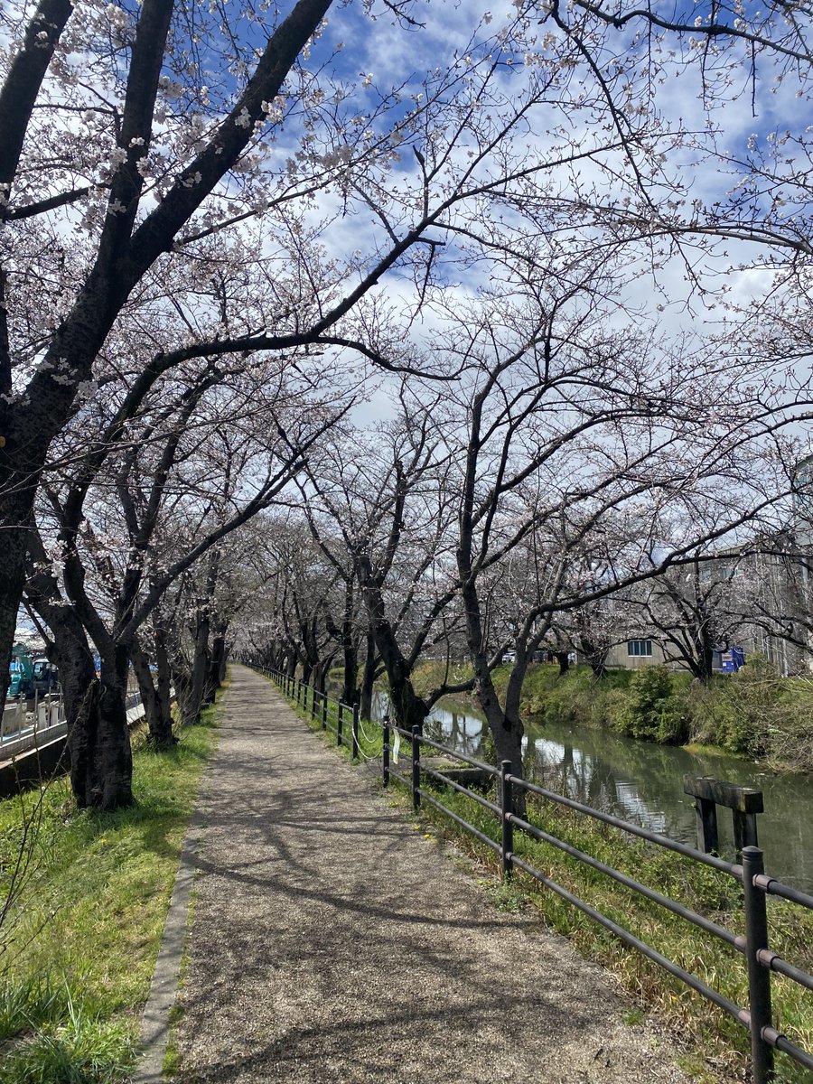 やっさん tweet media