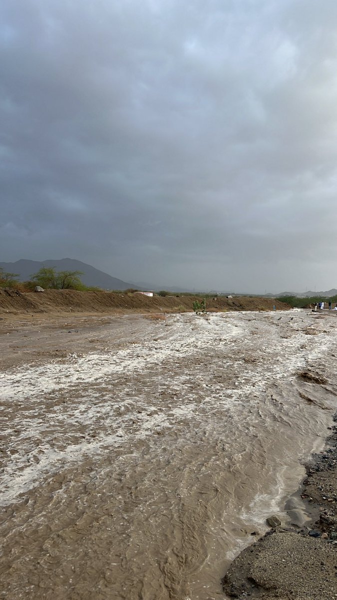 خلدُون tweet media