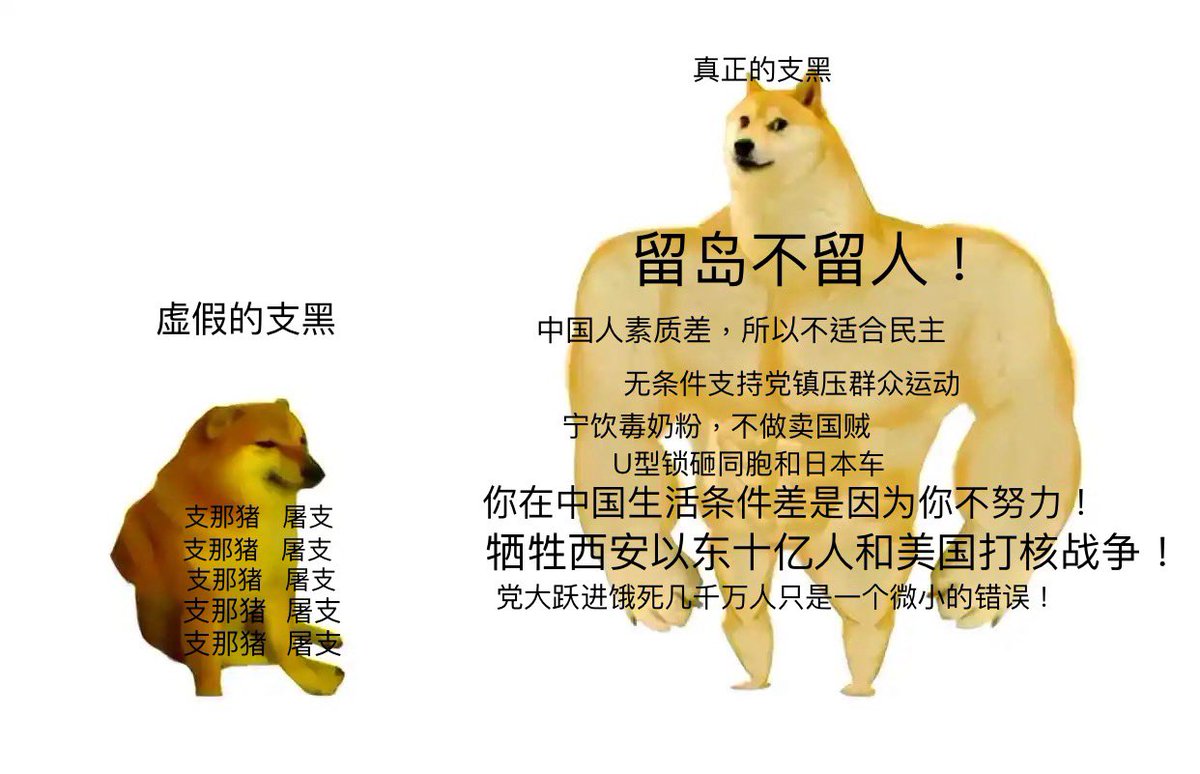 zhinarensml8964's tweet photo. https://t.co/5IFet2wVLU