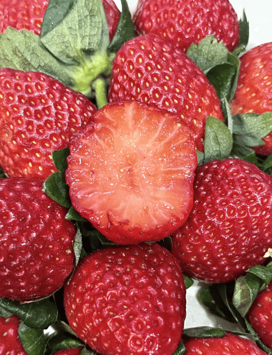 adeel ahmed tweet media