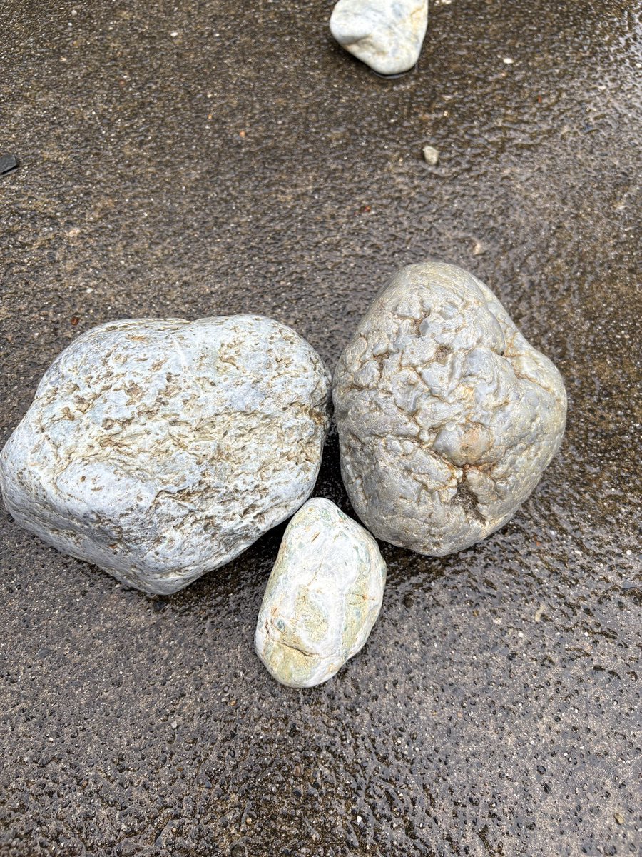 ふなべた tweet media